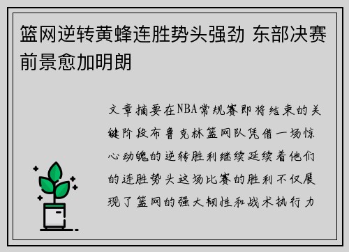 篮网逆转黄蜂连胜势头强劲 东部决赛前景愈加明朗