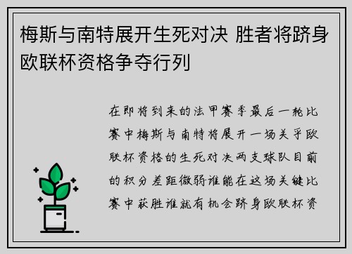 梅斯与南特展开生死对决 胜者将跻身欧联杯资格争夺行列